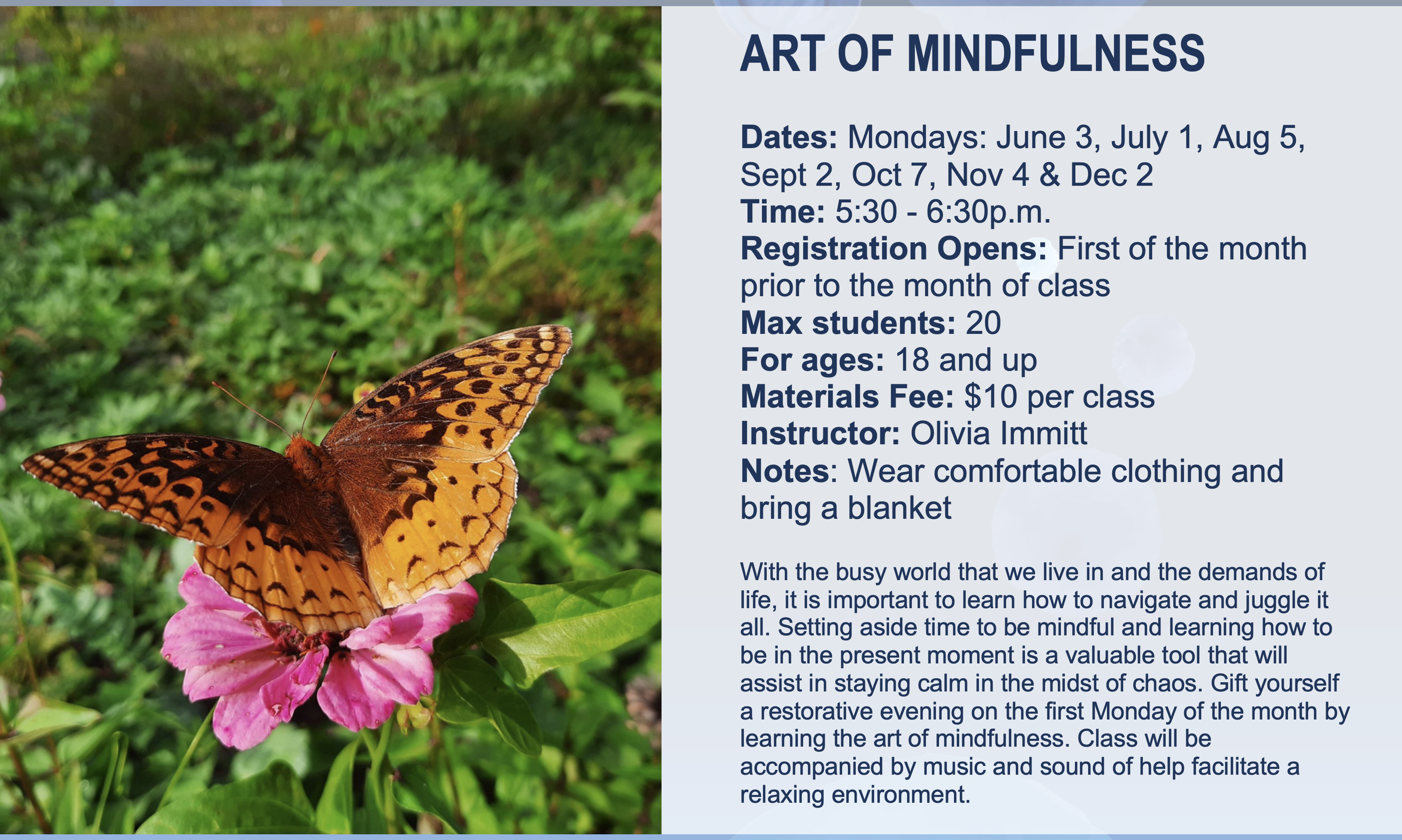 Art of Mindfulness Flier