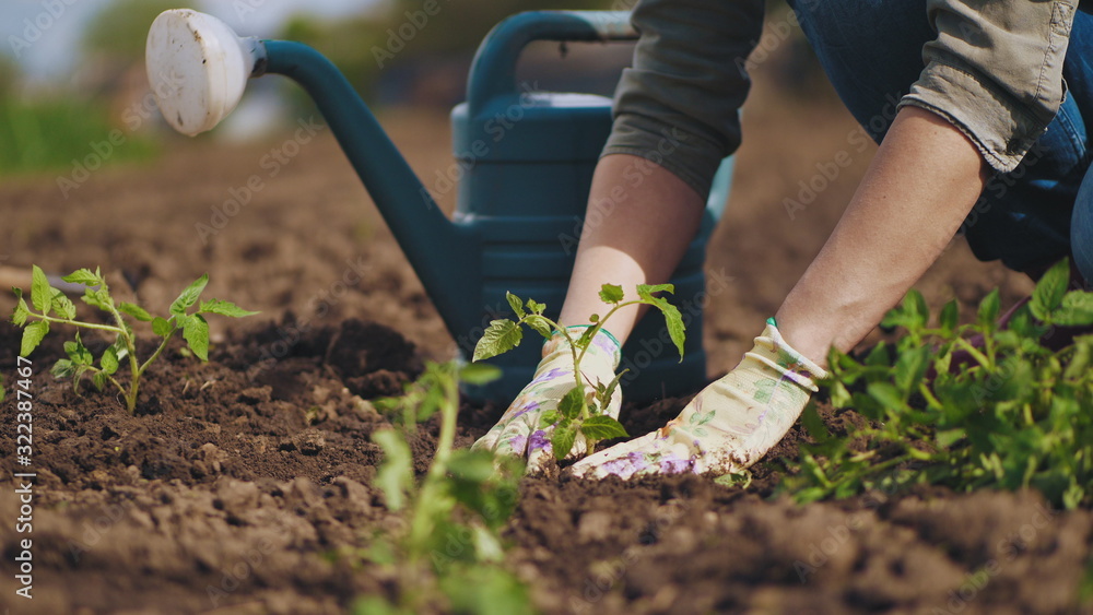 gardening