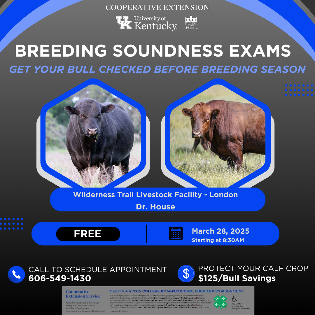 Breeding soundness exams