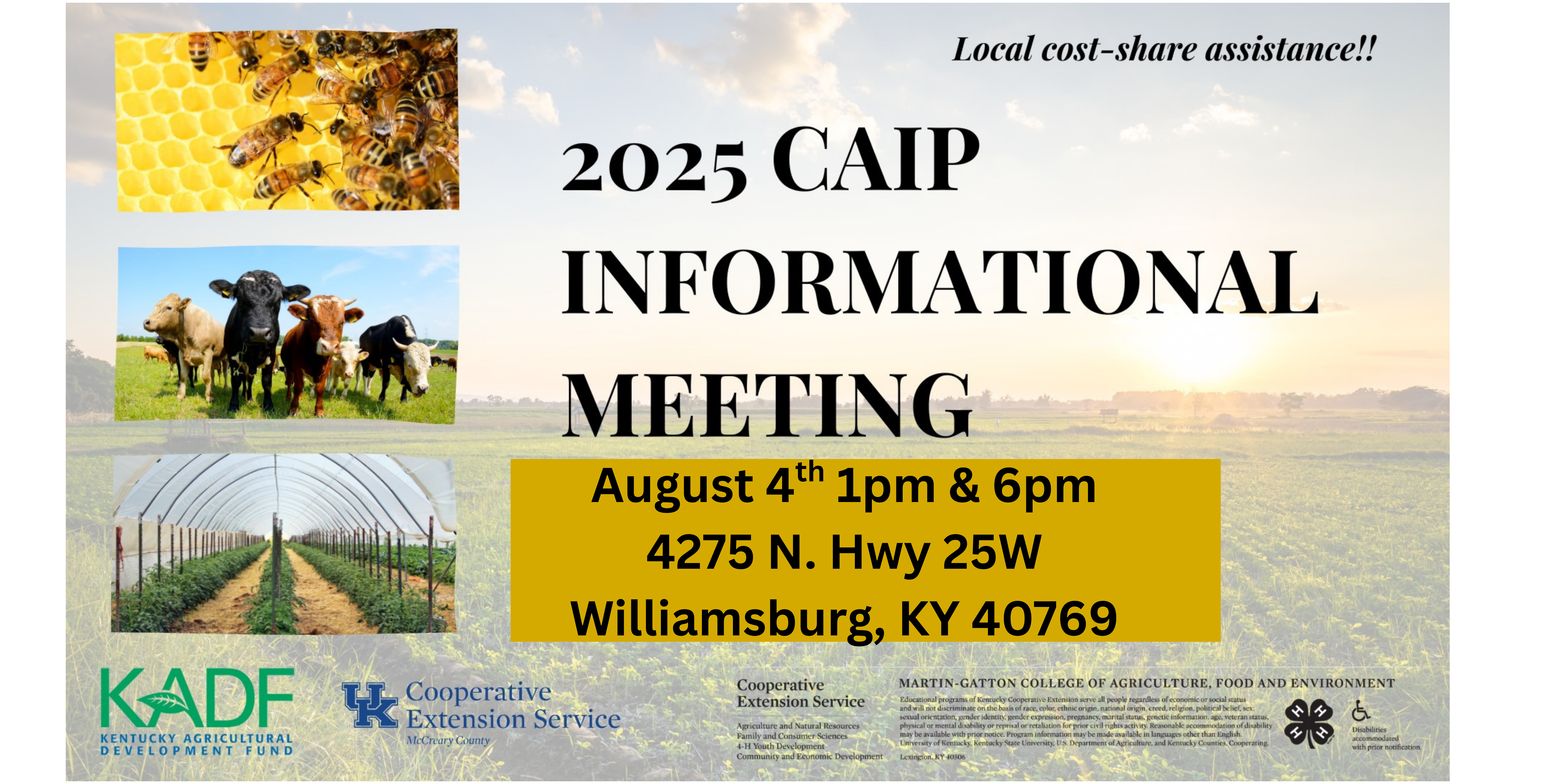 Caip flyer