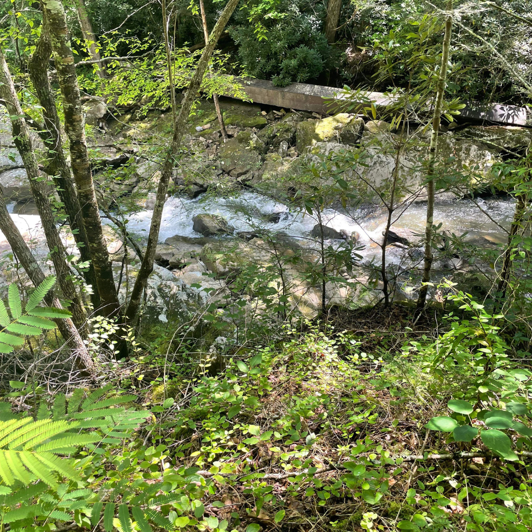 River