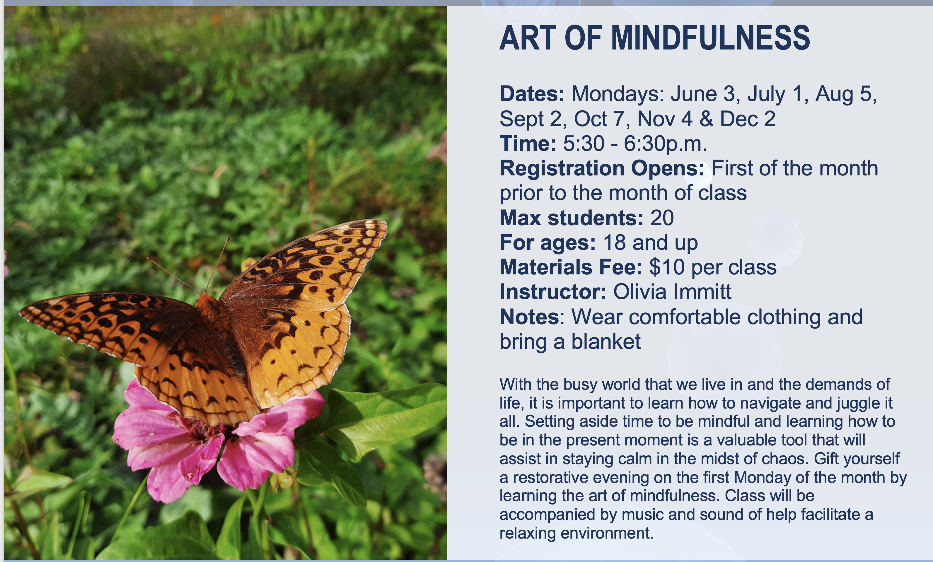 Art of Mindfulness Flier