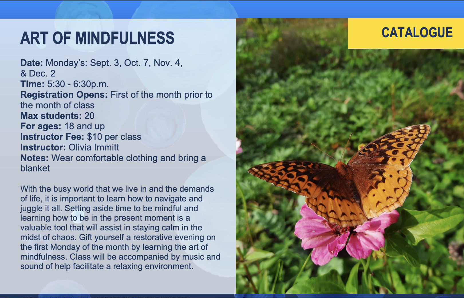 Art of Mindfulness Flier