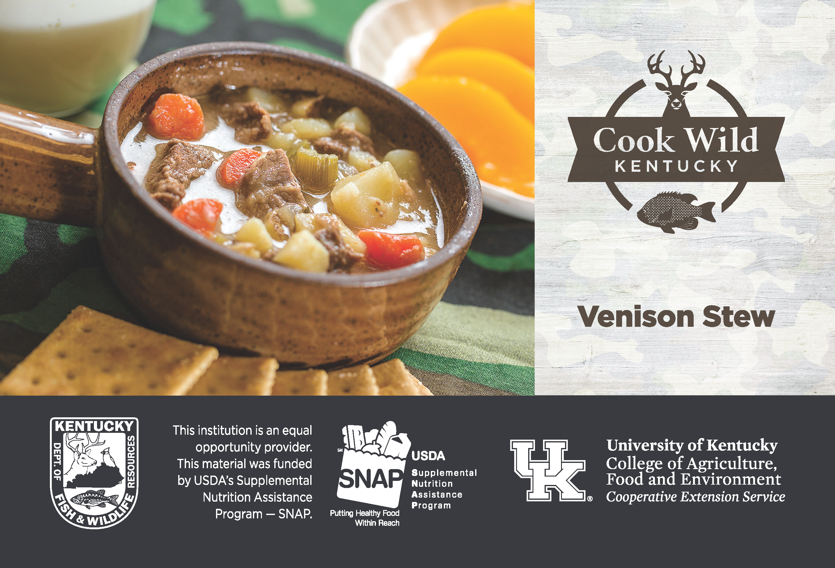 venison stew