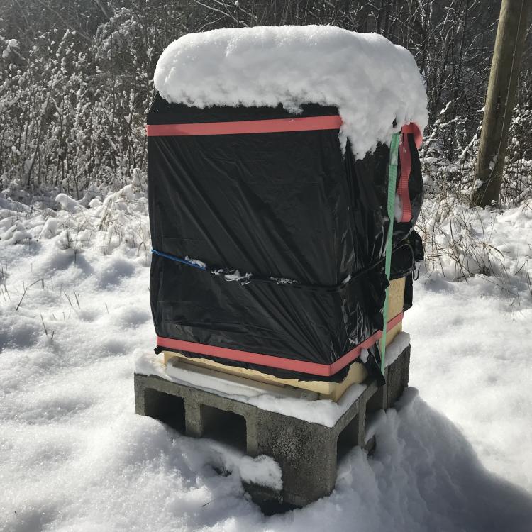  beehive in snow