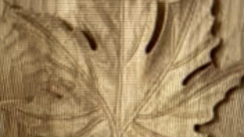 Carved Leaf