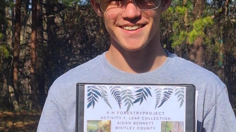 leaf print collection